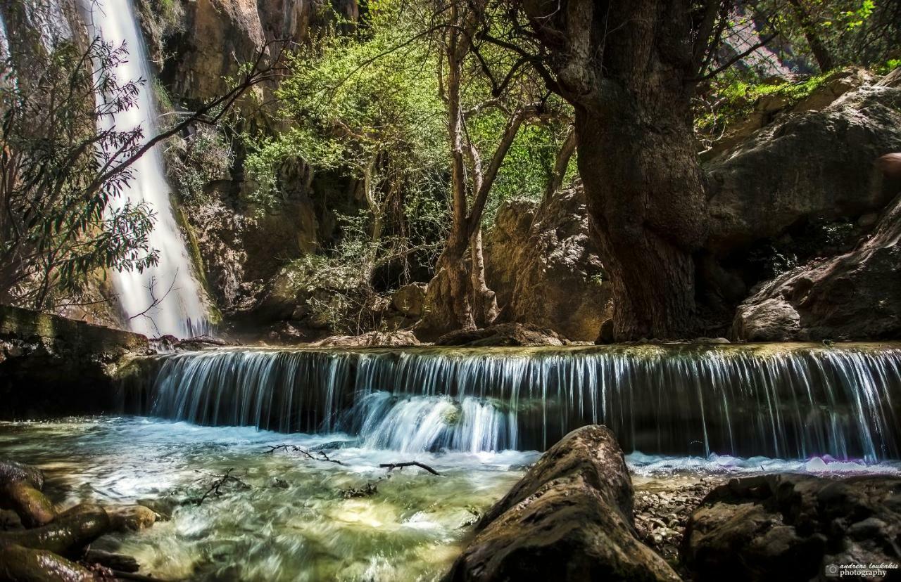 Villa Kalliopi Κουτσουνάρι Εξωτερικό φωτογραφία
