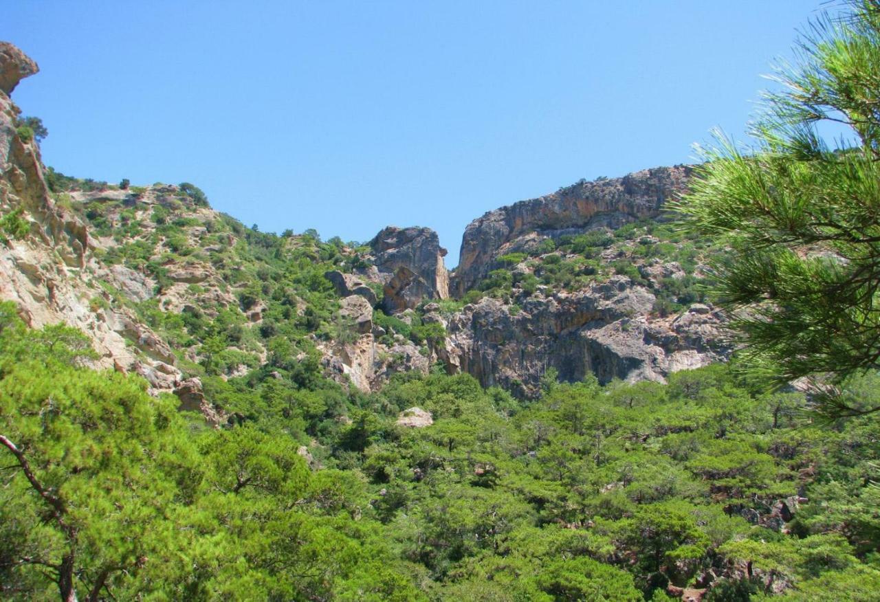 Villa Kalliopi Κουτσουνάρι Εξωτερικό φωτογραφία