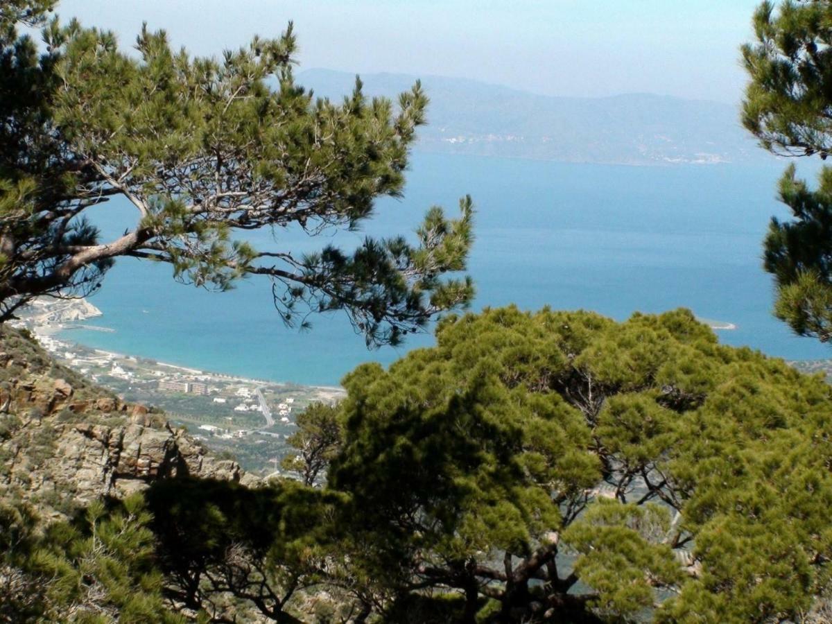Villa Kalliopi Κουτσουνάρι Εξωτερικό φωτογραφία