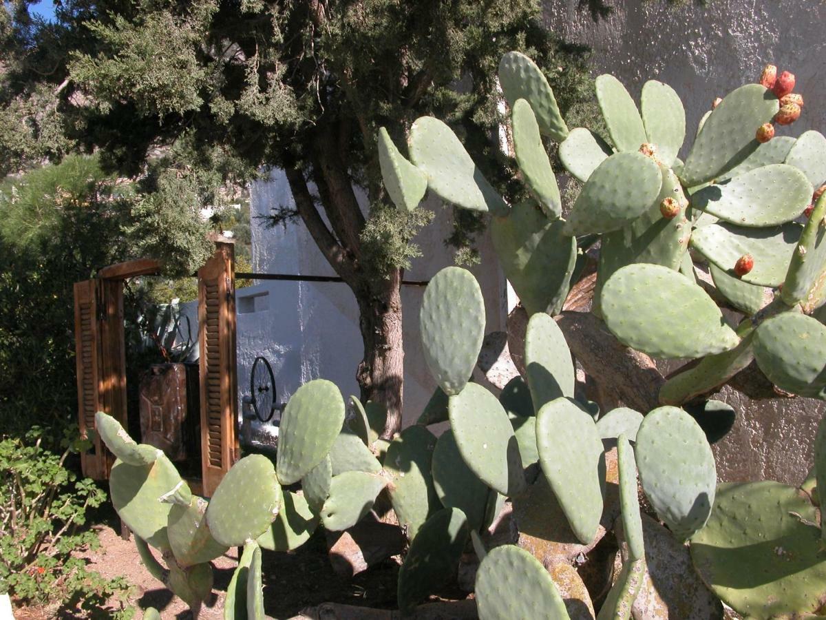 Villa Kalliopi Κουτσουνάρι Εξωτερικό φωτογραφία
