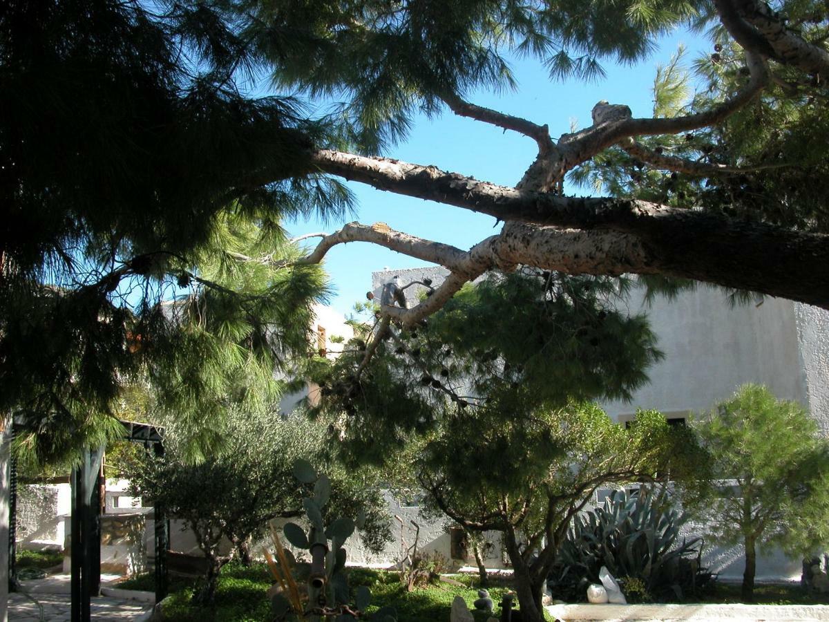 Villa Kalliopi Κουτσουνάρι Εξωτερικό φωτογραφία